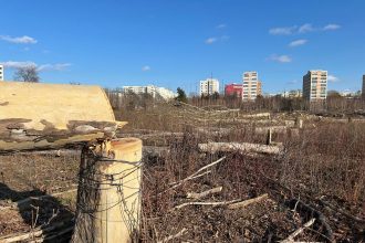 negoita despre ce spera sa faca noul primar general din parcul ior am mari sperante ca va deschide un nou proces 682d450118b29