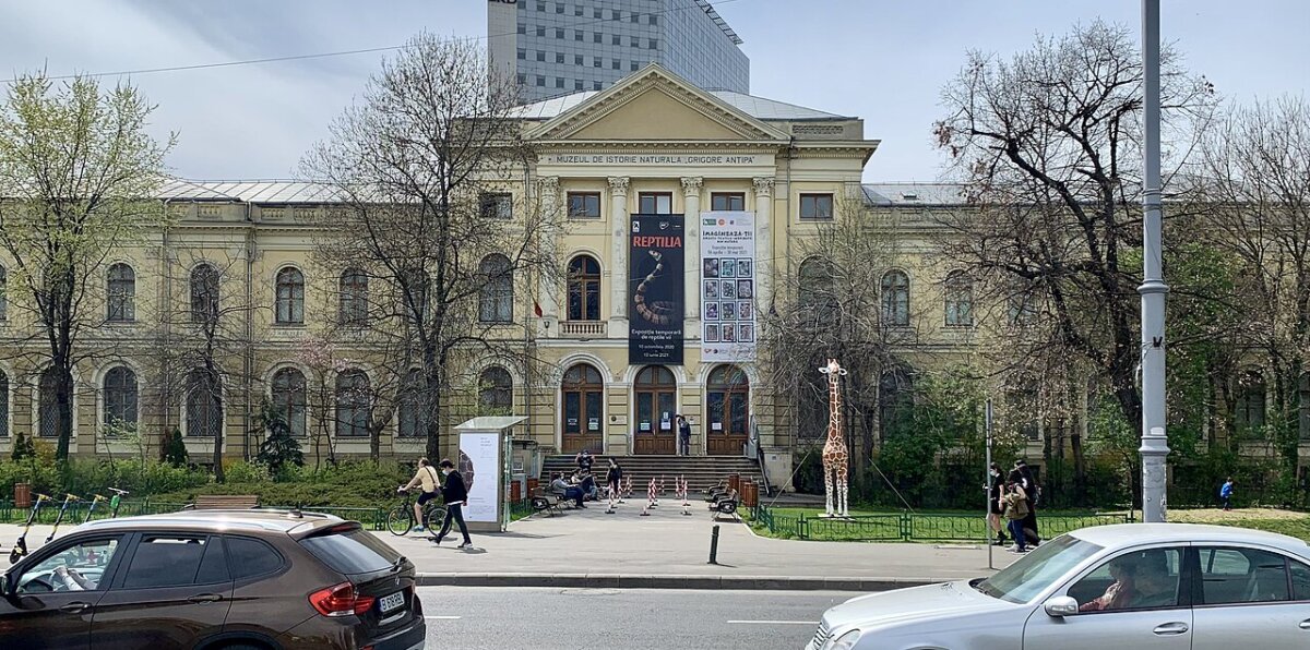 noaptea muzeelor la grigore antipa 68271ac7305c6