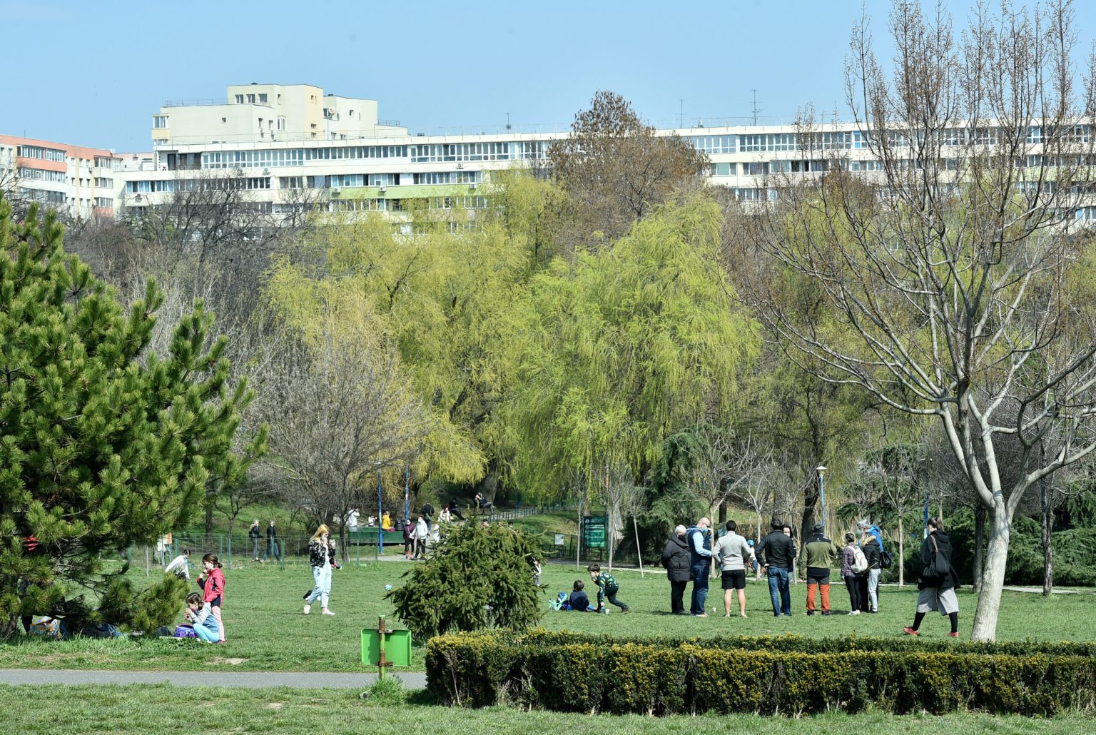 primaria sectorului 2 vrea sa ia parcul circului de la pmb proiectul intra joi la vot in cl e loc cu poveste formidabila o groapa de gunoi transformata in paradis 6836fe9602364