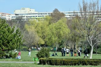 primaria sectorului 2 vrea sa ia parcul circului de la pmb proiectul intra joi la vot in cl e loc cu poveste formidabila o groapa de gunoi transformata in paradis 6836fe9602364
