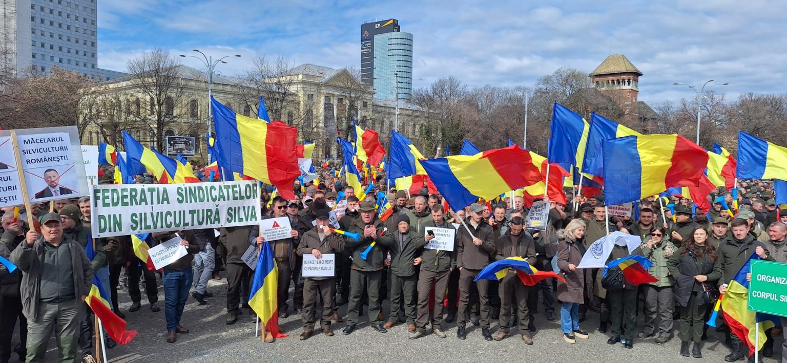 silvicultorii protesteaza la guvern alaturi de sindicatele din confederatia meridian 68259de51d6e8