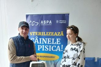 sterilizari gratuite de caini si pisici in aceasta saptamana 682ec4b139293