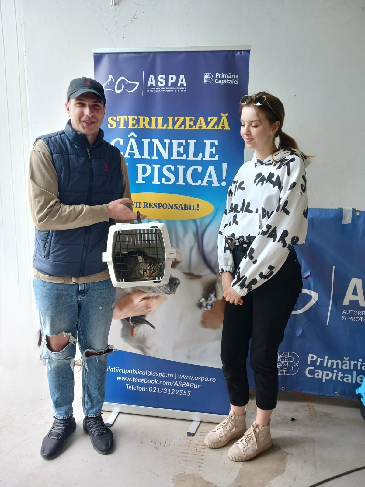 sterilizari gratuite de caini si pisici in aceasta saptamana 682ec4b139293