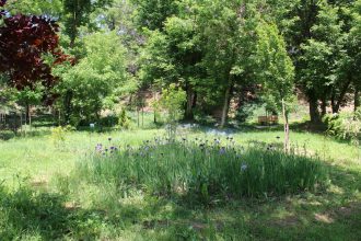 tratamente de combatere a capuselor in toate sectoarele capitalei 6825145172f38