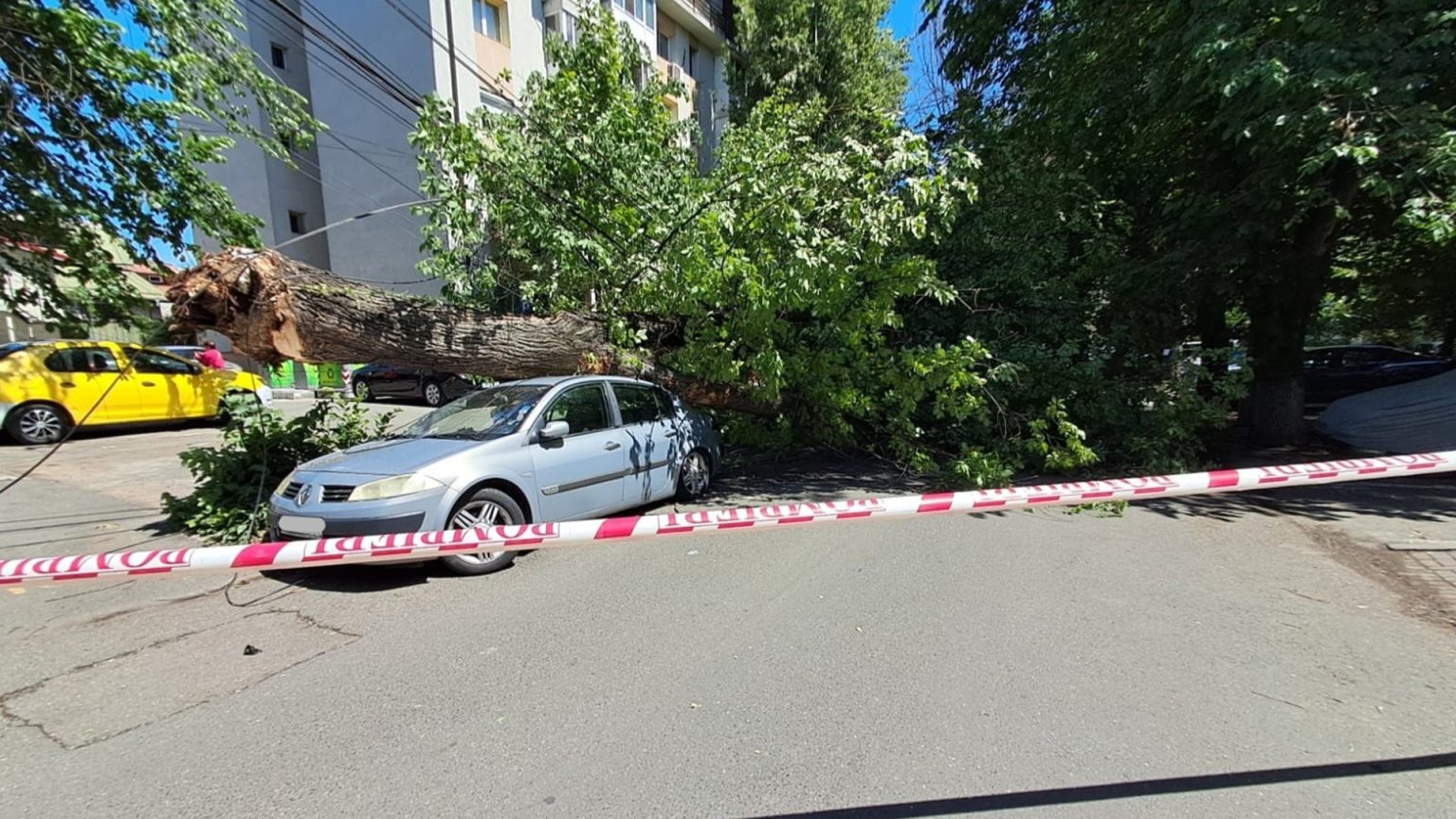 un copac s a prabusit pe doua masini pe str locotenent nicolae pascu din sectorul 3 politisti la fata locului 6829aff409c67