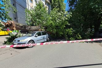 un copac s a prabusit pe doua masini pe str locotenent nicolae pascu din sectorul 3 politisti la fata locului 6829aff409c67
