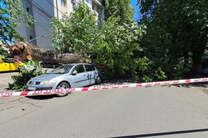 un copac s a prabusit pe doua masini pe str locotenent nicolae pascu din sectorul 3 politisti la fata locului 6829aff409c67