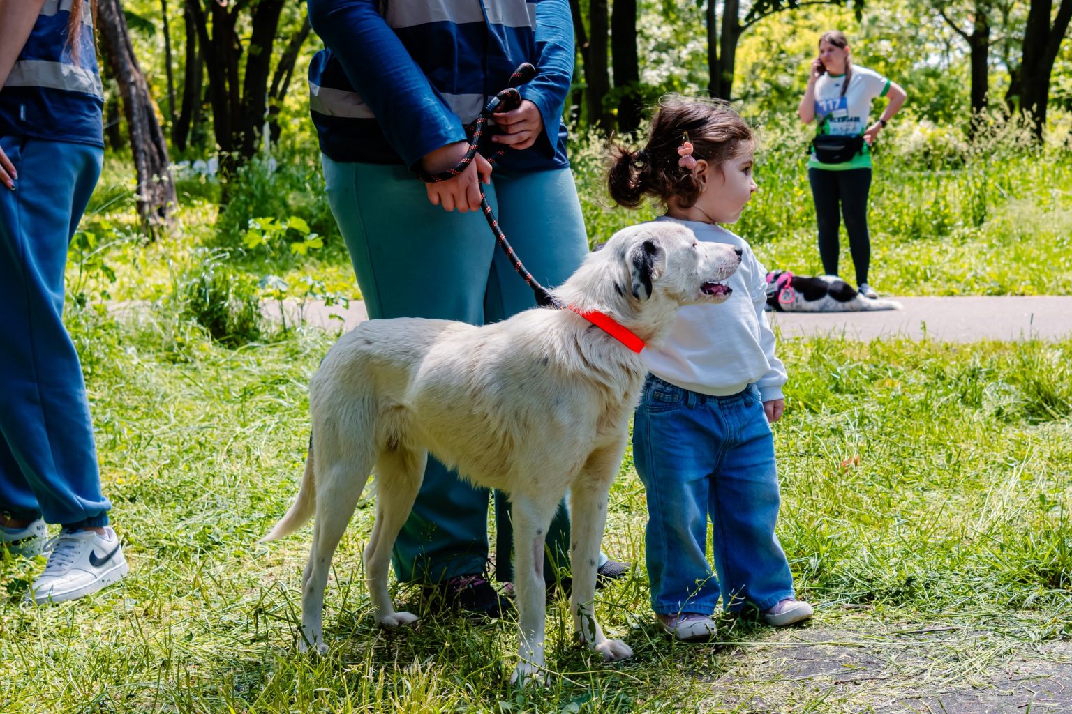 unde poti sa sterilizezi si microcipezi gratuit catelul lista clinicilor din bucuresti actualizata de aspa stapanii care nu fac asta risca amenzi care ajung la 10 000 lei 682514503a665