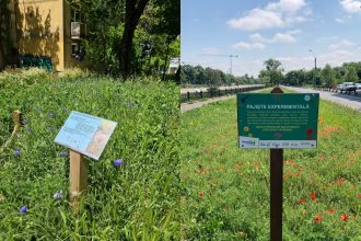 unde sunt amenajate pajistile urbane ale capitalei practica adusa in bucuresti de societatea civila acceptata tacit si de autoritati 682515f505358