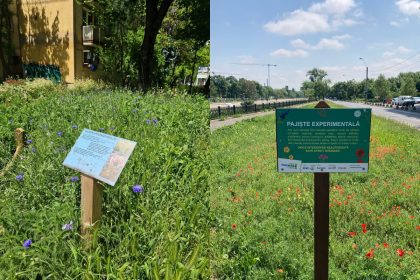 unde sunt amenajate pajistile urbane ale capitalei practica adusa in bucuresti de societatea civila acceptata tacit si de autoritati 682515f505358