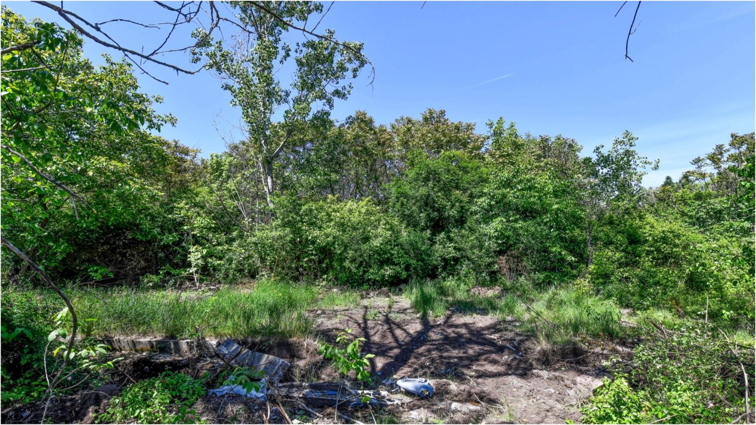 vesti despre parcul serele militare are studiu de fezabilitate care trebuie aprobat ps6 anunta care sunt cele doua variante prin care terenul poate deveni spatiu verde 682d733a5b417