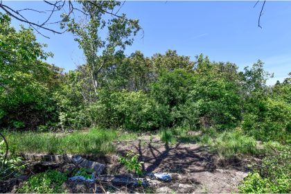 vesti despre parcul serele militare are studiu de fezabilitate care trebuie aprobat ps6 anunta care sunt cele doua variante prin care terenul poate deveni spatiu verde 682d733a5b417