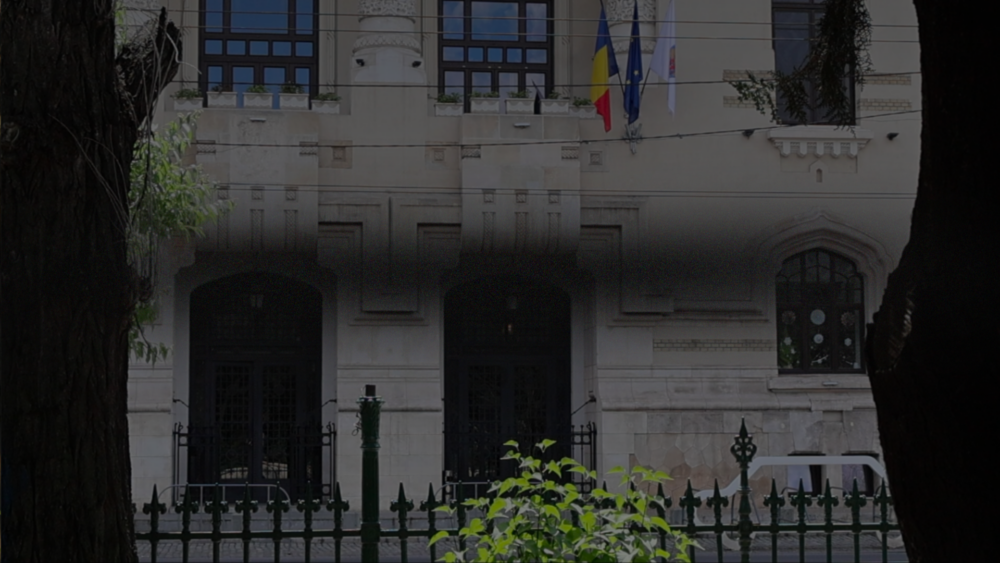 video puls bucuresti pe cine vor bucurestenii in locul lui nicusor dan 682615aceec12