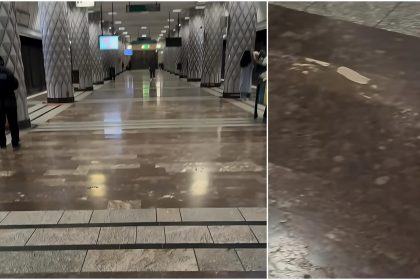 video secretul preistoric ascuns la vedere in statia de metrou politehnica pasim pe el in fiecare zi ne reamintesc americanii 683595ae1d1c8