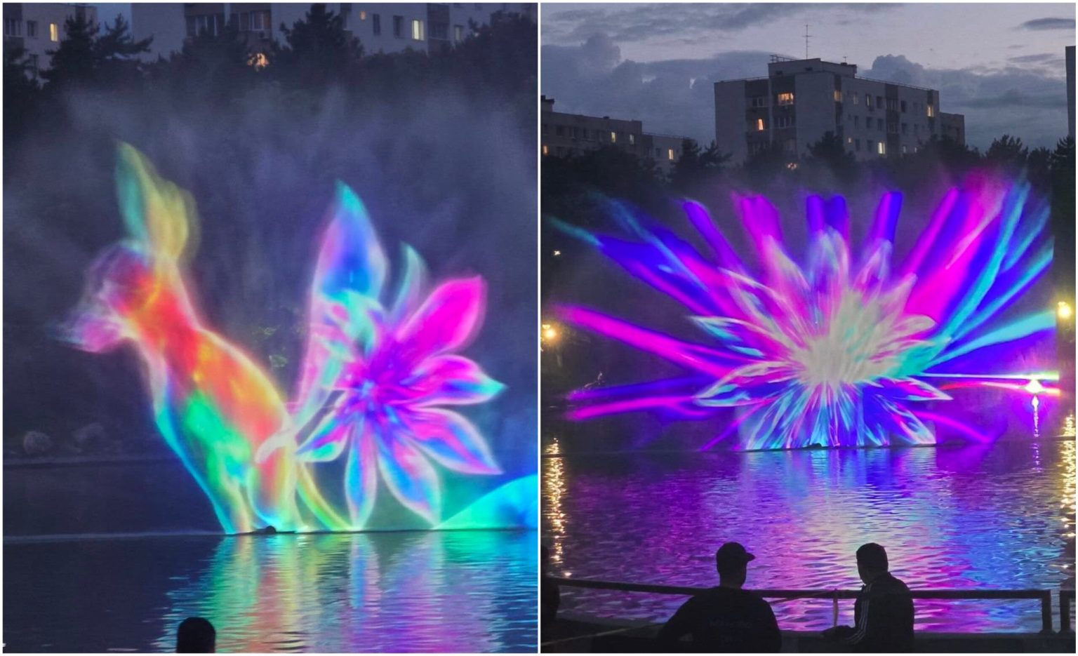 video sneak peek de la west side flower fest 2025 imagini spectaculoase pe lacul din parcul drumul taberei pentru festivalul florilor care incepe azi 683951e0575a4