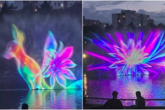 video sneak peek de la west side flower fest 2025 imagini spectaculoase pe lacul din parcul drumul taberei pentru festivalul florilor care incepe azi 683951e0575a4