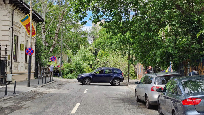 video un copac a cazut pe o strada din centrul bucurestiului trei masini avariate circulatia in zona este blocata 6835ae443a452