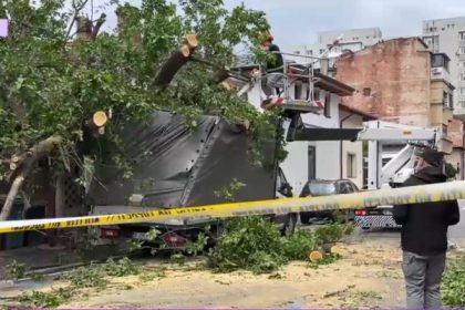 video un copac a cazut peste 4 masini parcate in centrul bucurestiului a fost avariata si o conducta de gaze 6836ee32d8a27