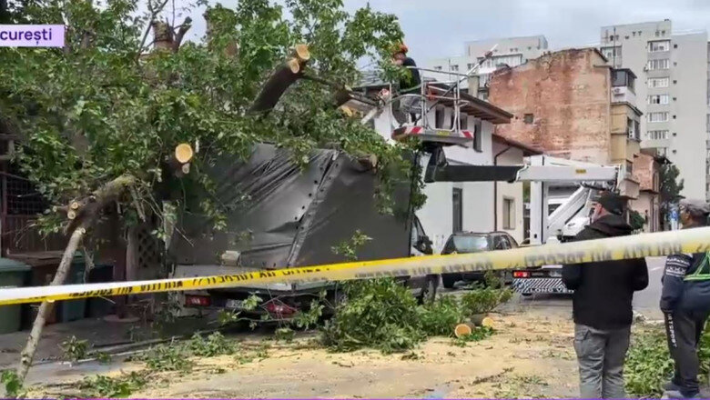 video un copac a cazut peste 4 masini parcate in centrul bucurestiului a fost avariata si o conducta de gaze 6836ee32d8a27