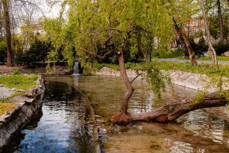 vremea se va raci accentuat in bucuresti in acest sfarsit de saptamana 6826f416b6f15
