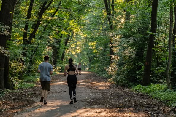 asociatia parcul vacaresti solicita guvernului sa nu permita deschiderea traficului auto prin padurea baneasa padurea nu e o solutie la traficul din bucuresti 68403b31e30b6