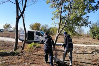 aspa peste 250 de caini ridicati de pe domeniul public in luna mai cei mai multi in sectorul 5 683fc4529ae40