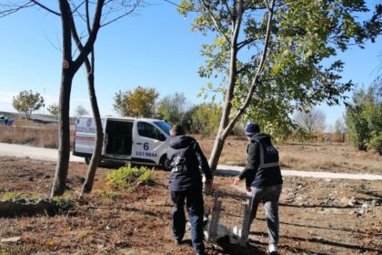 aspa peste 250 de caini ridicati de pe domeniul public in luna mai cei mai multi in sectorul 5 683fc4529ae40