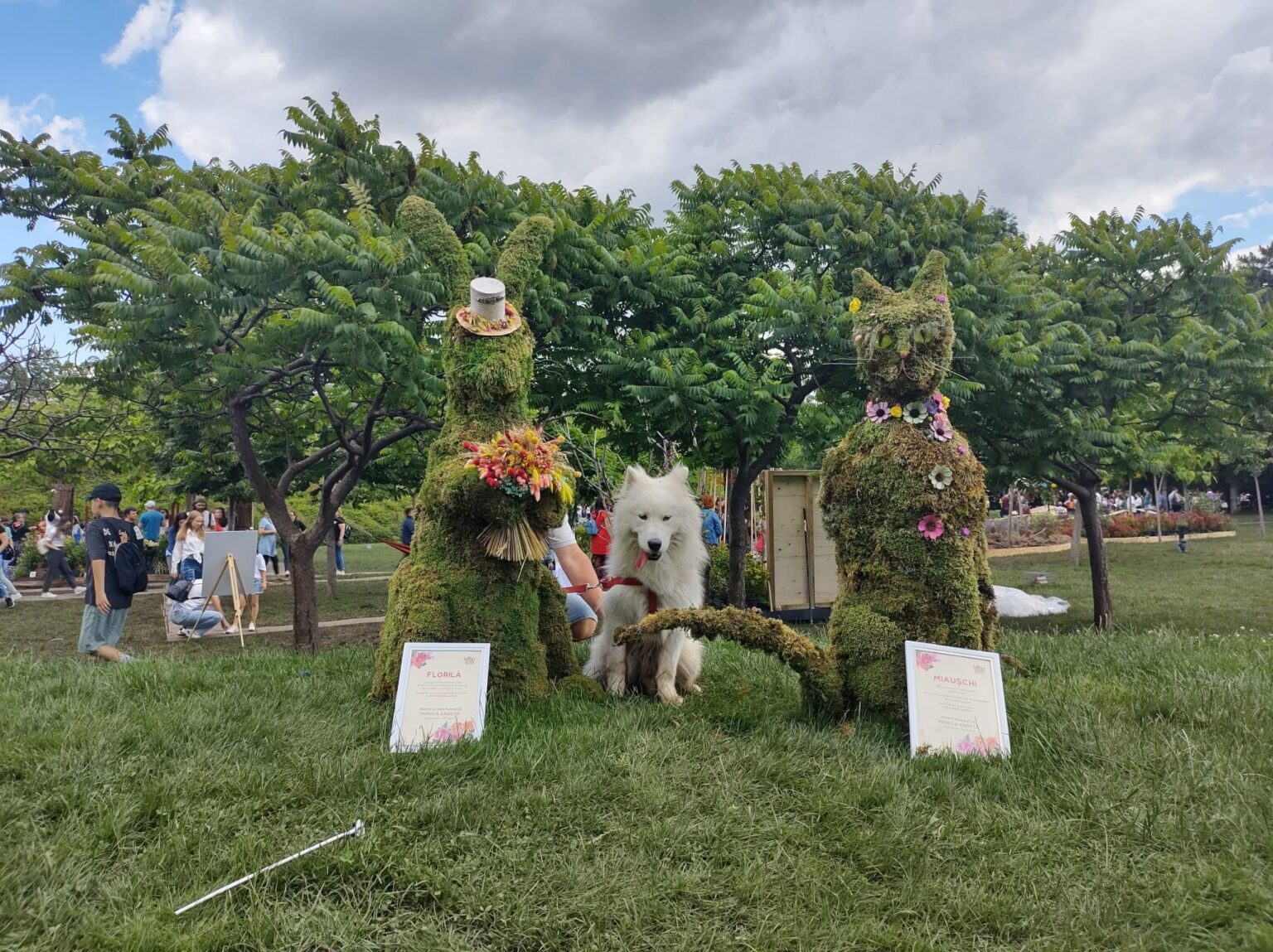 bilant la final de west side flower fest trei sute de mii de vizitatori in weekend ul festivalului 683dbb556f15f