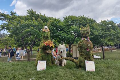 bilant la final de west side flower fest trei sute de mii de vizitatori in weekend ul festivalului 683dbb556f15f