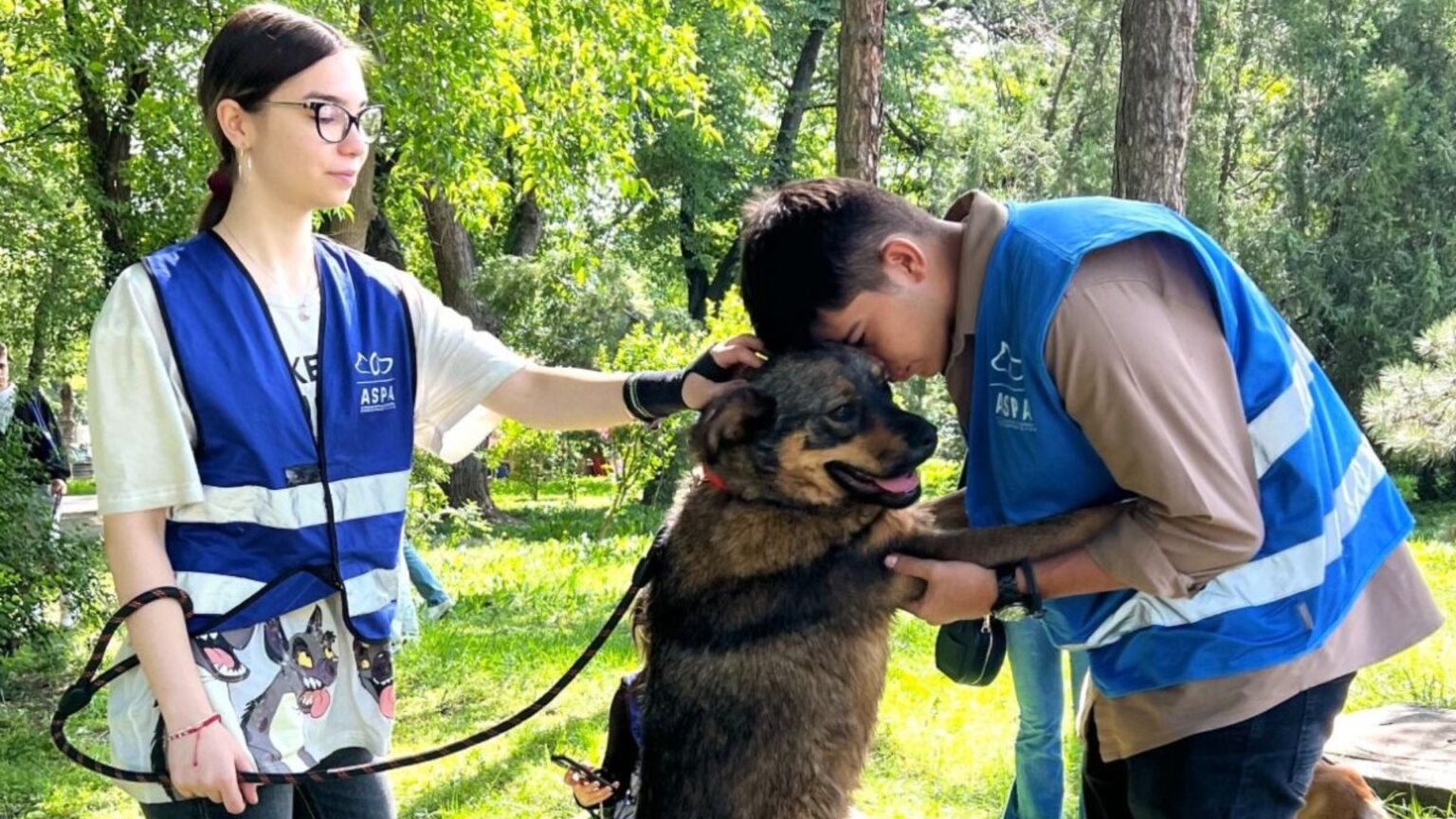 blanosii de la aspa vor fi prezenti weekendul acesta la hello doggie festival targul de adoptii are loc pe insula cainilor din parcul titan 683eb3fe61837