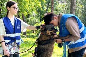 blanosii de la aspa vor fi prezenti weekendul acesta la hello doggie festival targul de adoptii are loc pe insula cainilor din parcul titan 683eb3fe61837