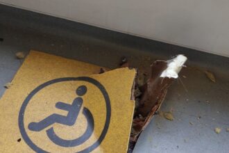 breaking o sina veche si ruginita a strapuns podeaua unui tramvai imperio pe bulevardul regina maria stb liniile 23 si 32 blocate spre depoul alexandria 6842e1f84e6da