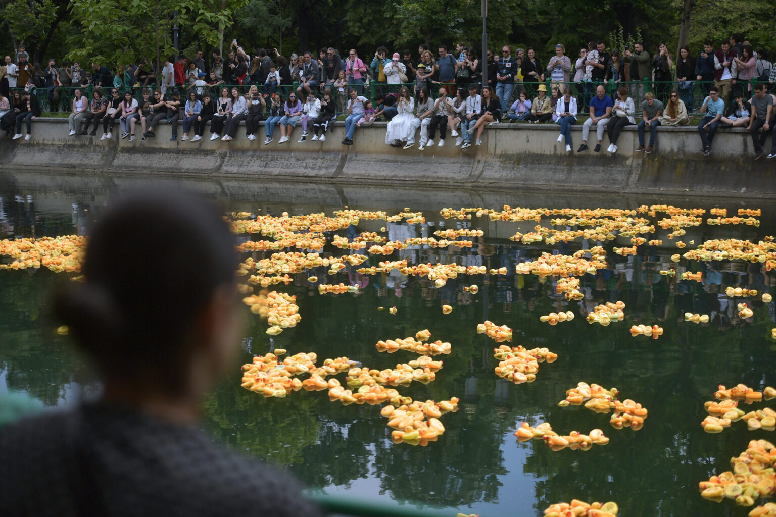 cea mai simpatica si colorata cursa din bucuresti pe raul dambovita f09fa686cursa de ratuste galbene din cauciuc revine pe 14 iunie in centrul orasului 68418f4385014