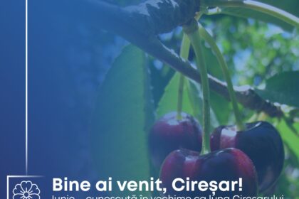 ciresar luna bucuriei si a credintei start in forta cu ziua copilului si sarbatori cu traditie 683d5c787077f