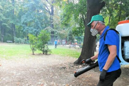 dezinsectie in bucuresti intre orele 2200 si 500 recomandari pentru locuitori 68427a95d7731