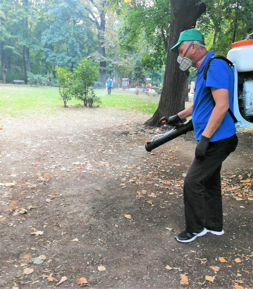 dezinsectie in bucuresti intre orele 2200 si 500 recomandari pentru locuitori 68427a95d7731