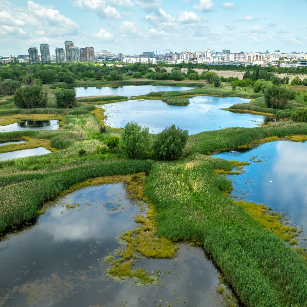 dezvoltator blocat in instanta sa ridice un bloc de 11 etaje langa delta vacaresti 683da851ef0bb