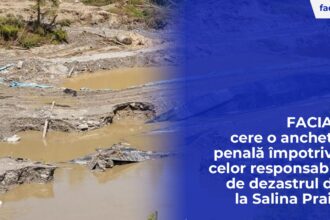 facias cere o ancheta penala impotriva celor responsabili de dezastrul de la salina praid 68455139a20cb