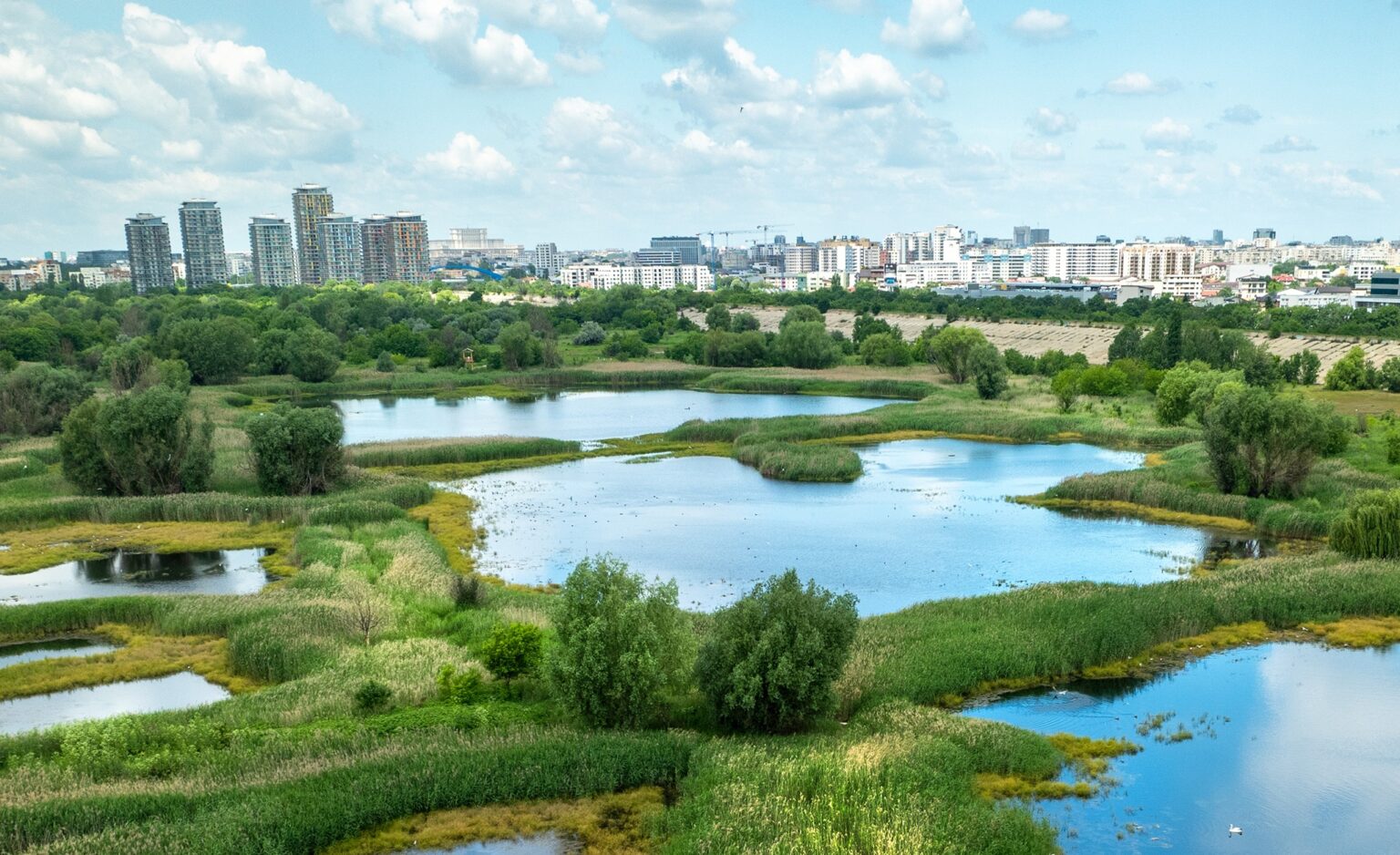 fara blocuri noi langa delta vacaresti la doi pasi de aria protejata tribunalul bucuresti a blocat un dezvoltator imobiliar care voia sa ridice un bloc de 11 etaje 683dc3d34be8c