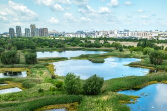 fara blocuri noi langa delta vacaresti la doi pasi de aria protejata tribunalul bucuresti a blocat un dezvoltator imobiliar care voia sa ridice un bloc de 11 etaje 683dc3d34be8c