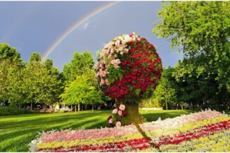 foto 300 000 de vizitatori prezenti la west side flower fest parcul drumul taberei a fost transformat intr o gradina de basm cu 100 000 de flori 683dab2652d9a