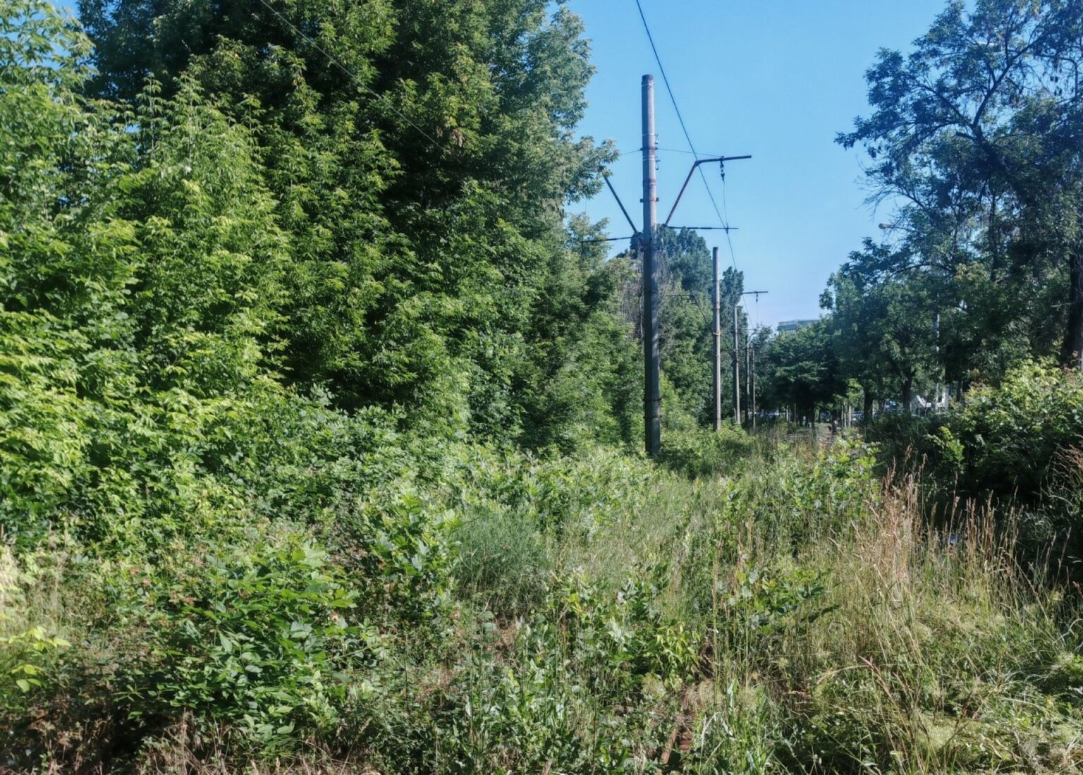 foto sina de tramvai de pe dimitrie pompeiu sta ascunsa de investitii sub balarii stb a suspendat circulatia pe aici dupa ce in martie o sina a strapuns podeaua unui tramvai 683ebc43c66c4