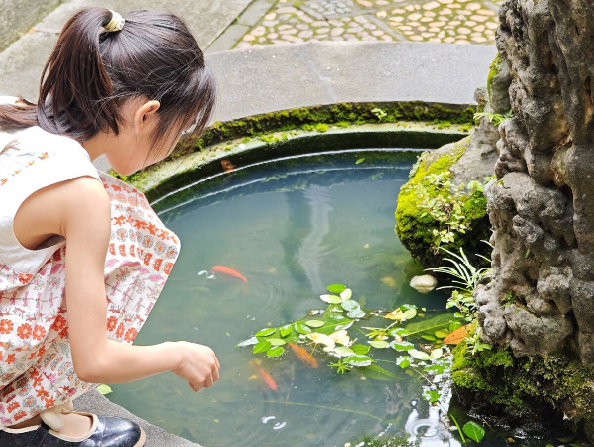 lectie speciala de educatie ecologica timpurie la muzeul mina din bucuresti cum puteti participa 683ff94b18b35