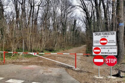 ministrul mediului ameninta cu demiteri daca va fi deschis drumul prin padurea baneasa pentru cartierul greenfield 683ed57eba739