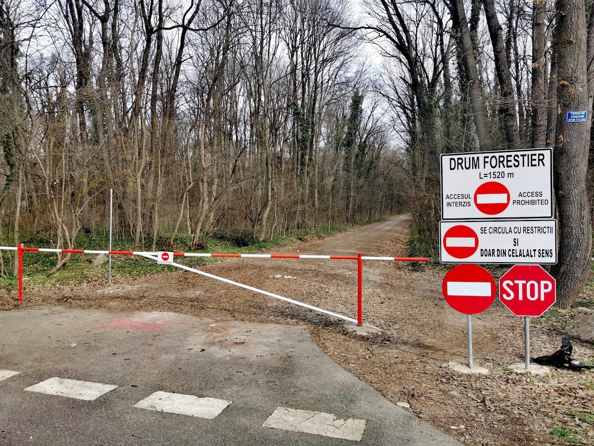 ministrul mediului ameninta cu demiteri daca va fi deschis drumul prin padurea baneasa pentru cartierul greenfield 683ed57eba739