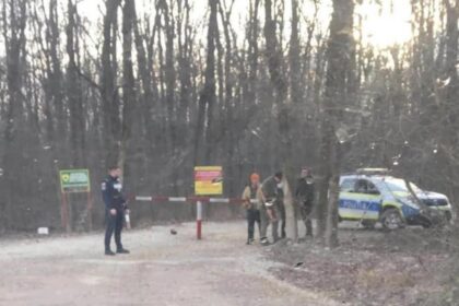 mircea fechet daca se deschide drumul forestier prin padurea baneasa voi demite conducerea romsilva si directiei silvice ilfov 683fda223551c