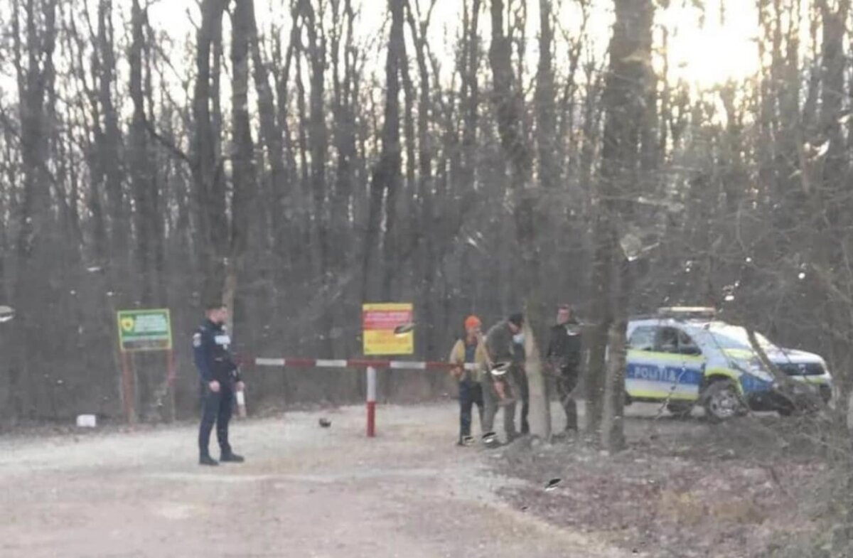 mircea fechet daca se deschide drumul forestier prin padurea baneasa voi demite conducerea romsilva si directiei silvice ilfov 683fda223551c