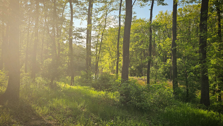 peste 150 de ong uri cer partidelor sa includa in programul de guvernare crearea centurilor verzi in jurul oraselor nu mai avem timp 683f1e2952111
