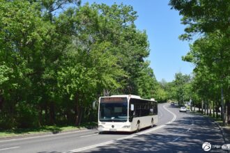 tpbi liniile de autobuz 282 si n120 sunt deviate in weekend sunt restrictii de circulatie pe strada maior vasile bacila pentru strazi deschise 6840540bc79f4