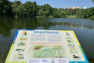 ziua mondiala a mediului copiii in armonie cu natura un proiect educational lansat de primaria capitalei 6841a8d52e3bb